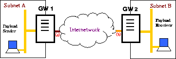 network.gif