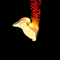 A Cyndaquil on fire