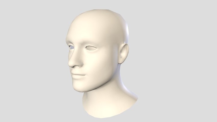 Head Model