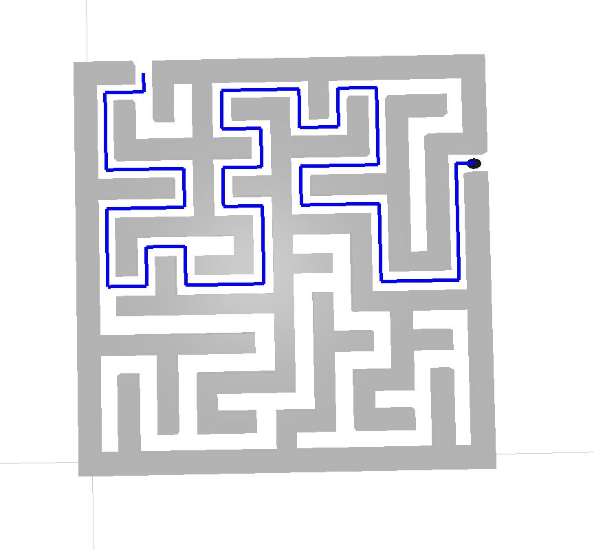 21X21 Maze